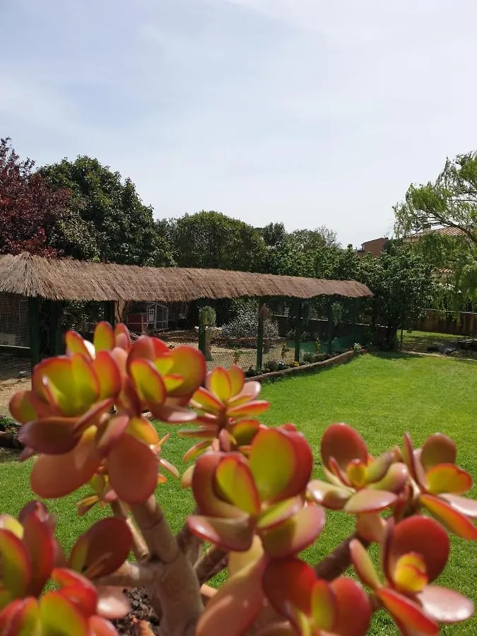 Villa Del Remei Vidreres Spain